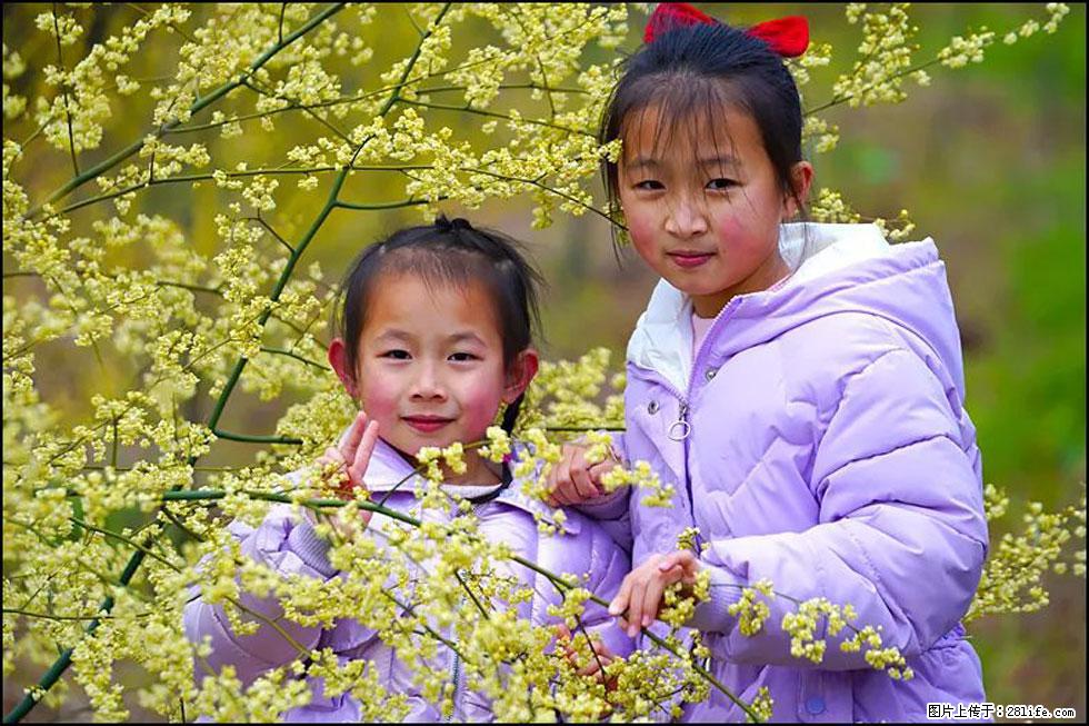 【春天，广西桂林灌阳县向您发出邀请！】米珠山前有片山苍子花在飘香 - 游山玩水 - 阿里生活社区 - 阿里28生活网 al.28life.net