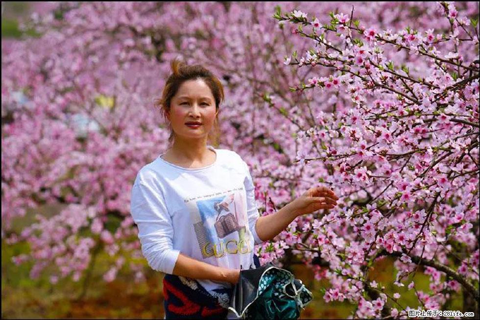 【春天，广西桂林灌阳县向您发出邀请！】官庄村有个醉美的桃花园 - 游山玩水 - 阿里生活社区 - 阿里28生活网 al.28life.net