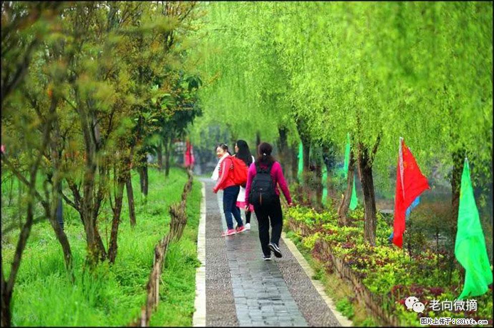 【春天，广西桂林灌阳县向您发出邀请！】江口老街又逢春 - 游山玩水 - 阿里生活社区 - 阿里28生活网 al.28life.net