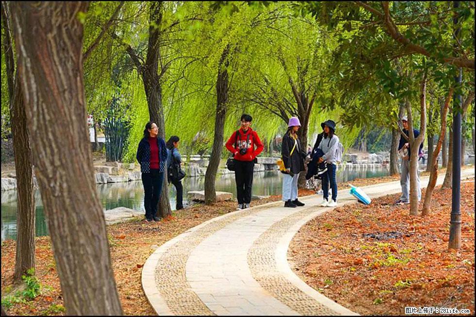 【春天，广西桂林灌阳县向您发出邀请！】江口老街又逢春 - 游山玩水 - 阿里生活社区 - 阿里28生活网 al.28life.net