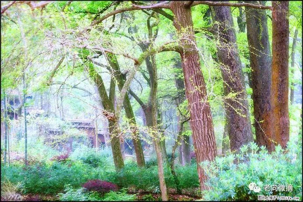 【春天，广西桂林灌阳县向您发出邀请！】在小龙村与春天约会 - 游山玩水 - 阿里生活社区 - 阿里28生活网 al.28life.net