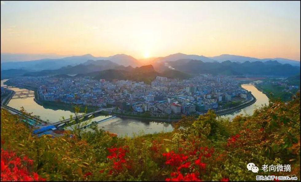 【春天，广西桂林灌阳县向您发出邀请！】登麒麟山，相约映山红 - 游山玩水 - 阿里生活社区 - 阿里28生活网 al.28life.net