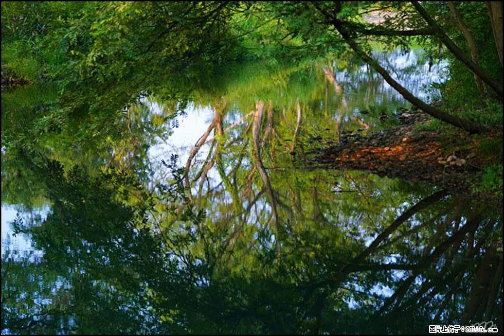 【春天，广西桂林灌阳县向您发出邀请！】熊家寨湿地公园 - 游山玩水 - 阿里生活社区 - 阿里28生活网 al.28life.net