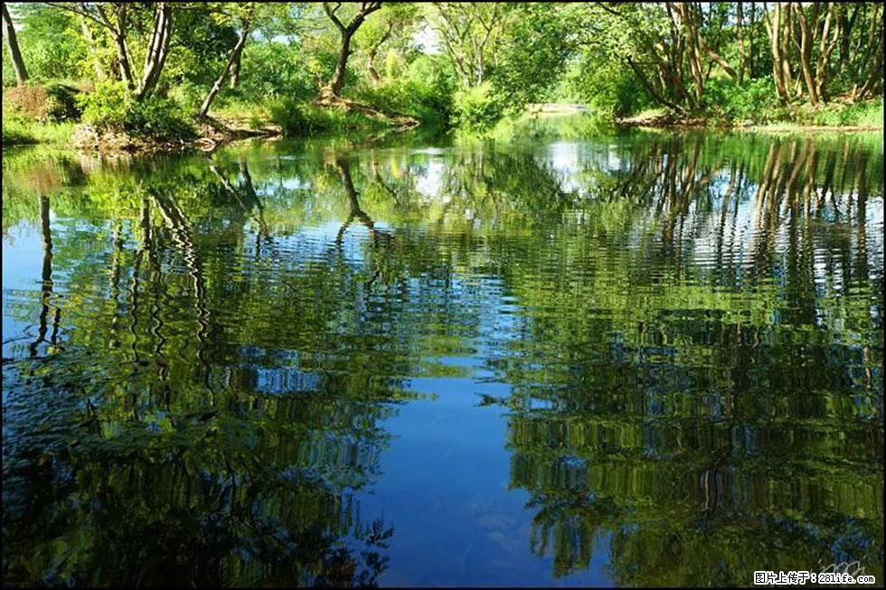 【春天，广西桂林灌阳县向您发出邀请！】熊家寨湿地公园 - 游山玩水 - 阿里生活社区 - 阿里28生活网 al.28life.net