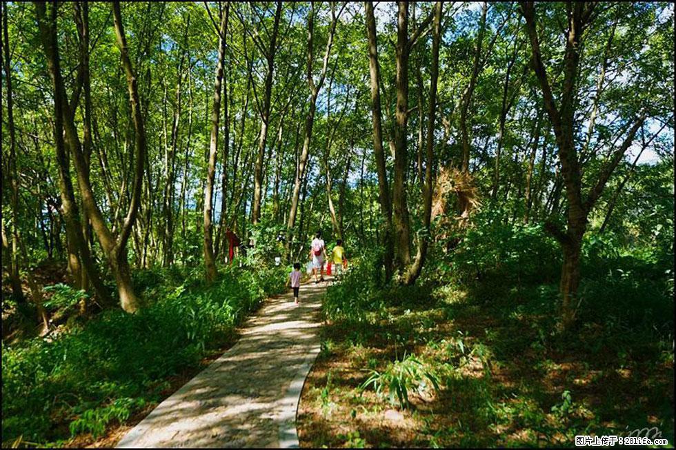 【春天，广西桂林灌阳县向您发出邀请！】熊家寨湿地公园 - 游山玩水 - 阿里生活社区 - 阿里28生活网 al.28life.net
