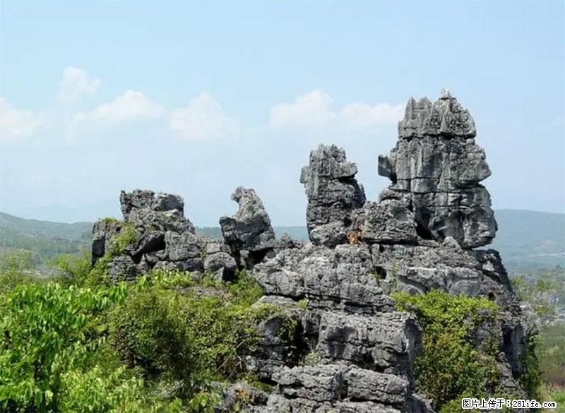 桂林旅游名城景点：灌阳文市石林 - 游山玩水 - 阿里生活社区 - 阿里28生活网 al.28life.net