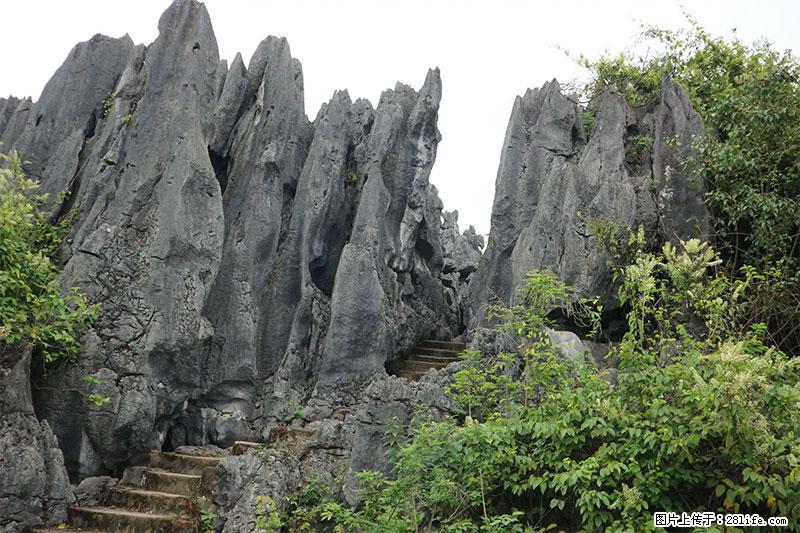 桂林旅游名城景点：灌阳文市石林 - 游山玩水 - 阿里生活社区 - 阿里28生活网 al.28life.net