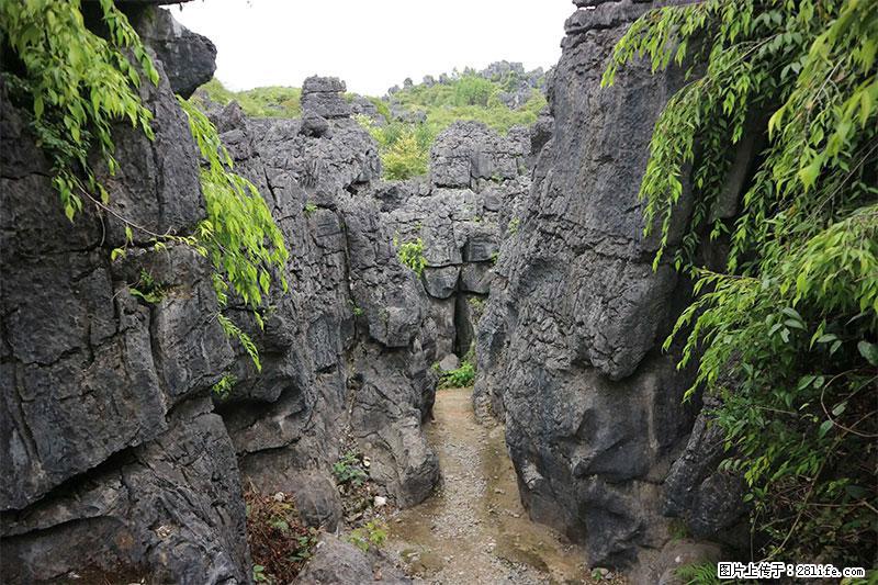 桂林旅游名城景点：灌阳文市石林 - 游山玩水 - 阿里生活社区 - 阿里28生活网 al.28life.net