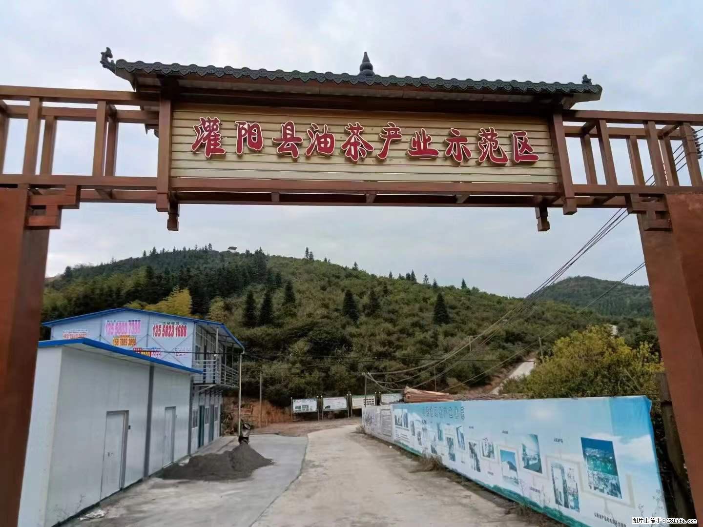【灌阳县油茶产业示范区】一个有着充实的精神生活的人，对待身外之物自会有一种淡泊的态度 - 土特产 - 饮食特产 - 阿里分类信息 - 阿里28生活网 al.28life.net