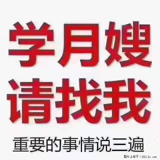 为什么要学习月嫂，育婴师？ - 阿里28生活网 al.28life.net