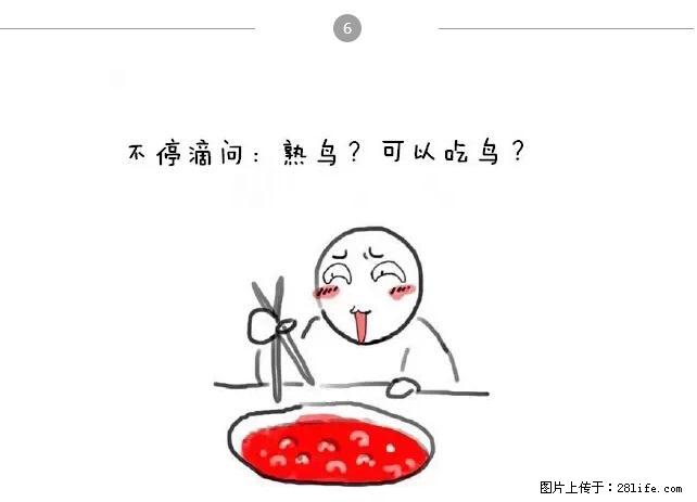 千万不要和这9种哈卵一起吃火锅！ - 美食天地 - 阿里生活社区 - 阿里28生活网 al.28life.net
