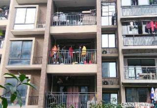 (单间出租)西溪水岸花苑 1室1卫 男女不限 - 阿里28生活网 al.28life.net