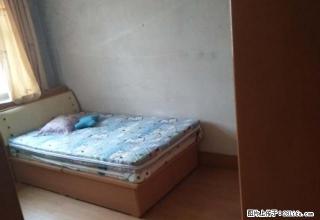 (单间出租)甸新东路 2室1厅1卫 男女不限 - 阿里28生活网 al.28life.net
