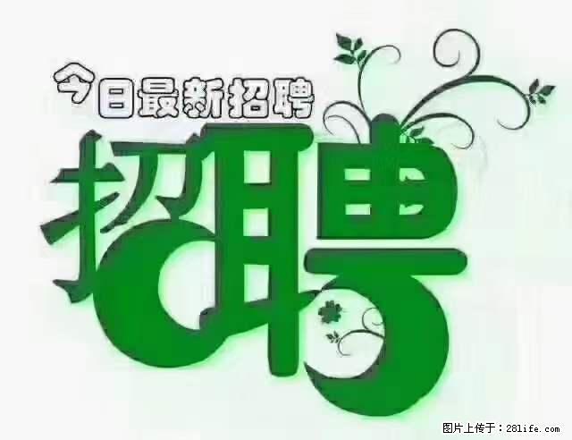 【招聘摄像师】待遇：试用期6000元/月，转正7000元/月+五险一金+餐补+节日福利+奖金 - 职场交流 - 阿里生活社区 - 阿里28生活网 al.28life.net