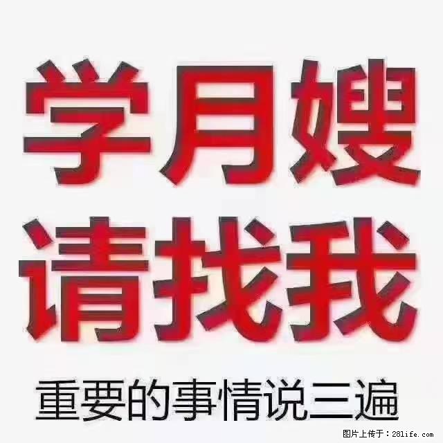 【招聘】月嫂，上海徐汇区 - 职场交流 - 阿里生活社区 - 阿里28生活网 al.28life.net