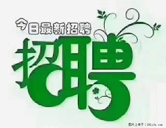 上海青浦区招仓管 - 职场交流 - 阿里生活社区 - 阿里28生活网 al.28life.net