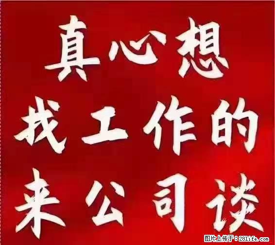 【上海】国企，医院招两名男保安，55岁以下，身高1.7米以上，无犯罪记录不良嗜好 - 职场交流 - 阿里生活社区 - 阿里28生活网 al.28life.net