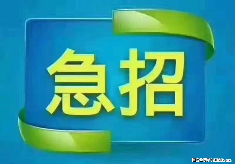 招出纳8000元/月，无证可以，要有相关经验，上海五险一金，包住，包工作餐，做六休一。 - 职场交流 - 阿里生活社区 - 阿里28生活网 al.28life.net