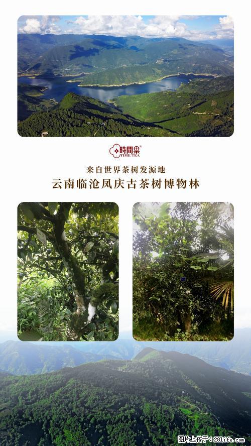 时间果百年古树2025年春红茶 - 购物交流 - 阿里生活社区 - 阿里28生活网 al.28life.net