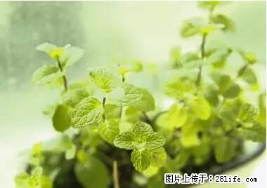 晕车、脚气、牙齿变黄、皮肤粗糙？学会这些三分钟搞定！ - 阿里生活资讯 - 阿里28生活网 al.28life.net