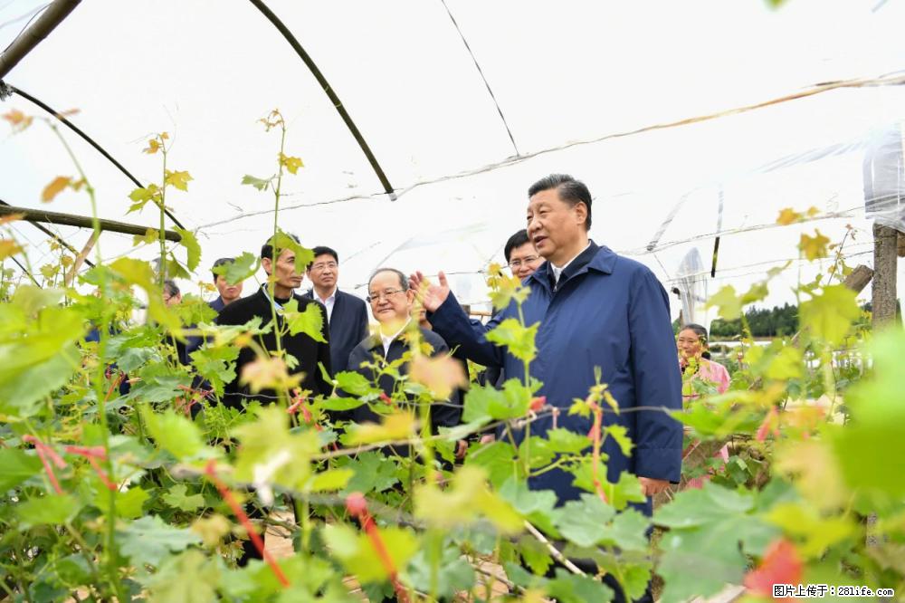 习近平赴广西考察调研 - 阿里生活资讯 - 阿里28生活网 al.28life.net