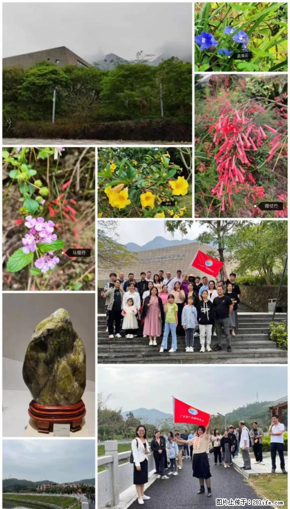 “粤灌文化 美好生活”油茶文化主题活动在广东深圳成功举办 - 阿里生活资讯 - 阿里28生活网 al.28life.net