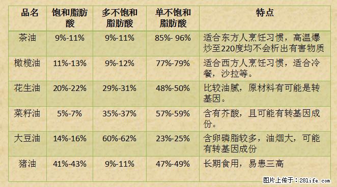 揭秘茶油的5大核心营养成分！被称为人体健康的“守护盾”！ - 阿里生活资讯 - 阿里28生活网 al.28life.net