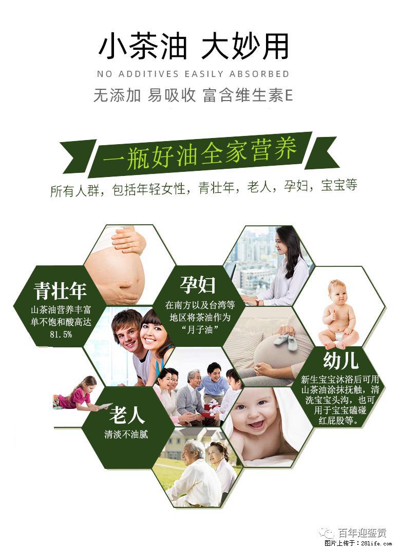 世界没有真相，只有认知，最好的食用油是中国的山茶油！ - 阿里生活资讯 - 阿里28生活网 al.28life.net