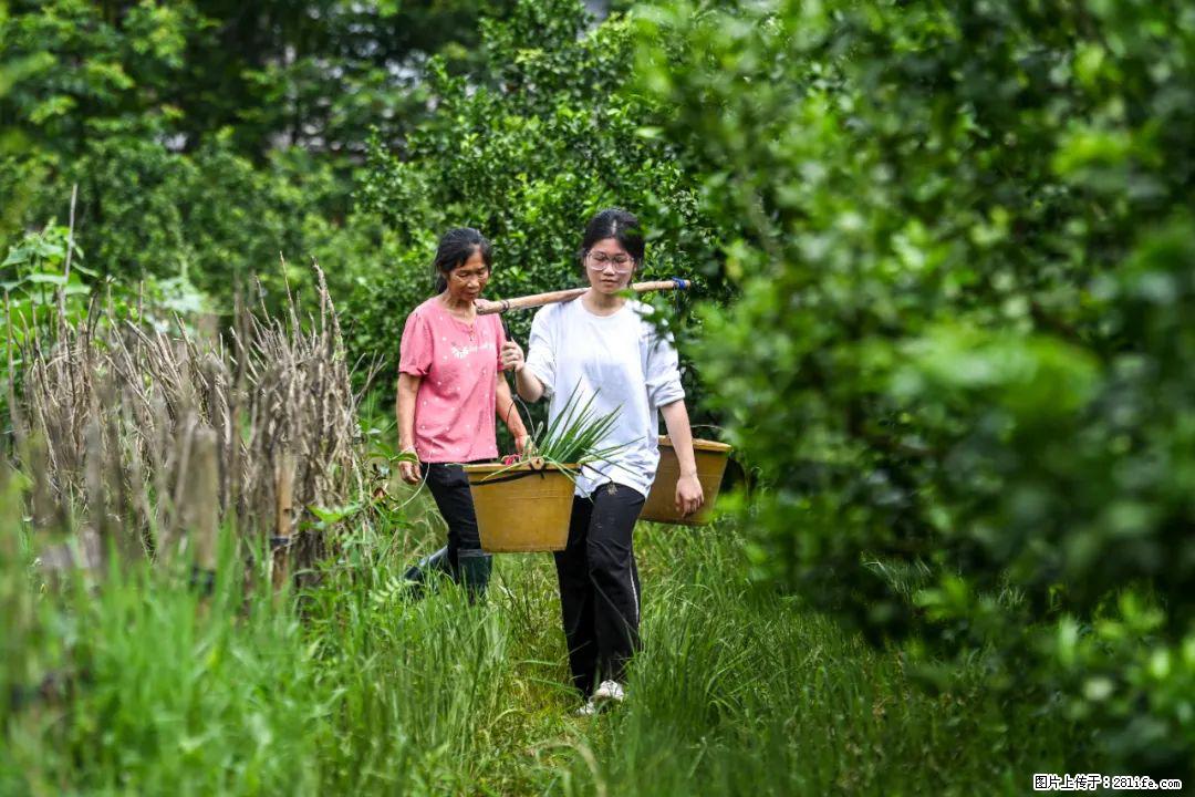 全网追的“扁担女孩”，找了一份暑假工，时薪12元 - 阿里生活资讯 - 阿里28生活网 al.28life.net