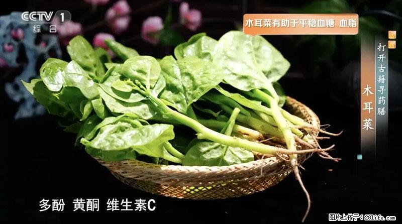 比牛奶补钙还厉害！凉血解毒、稳血糖...这菜冬天必吃，很多人却当草 - 阿里生活资讯 - 阿里28生活网 al.28life.net