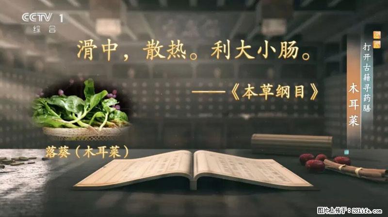 比牛奶补钙还厉害！凉血解毒、稳血糖...这菜冬天必吃，很多人却当草 - 阿里生活资讯 - 阿里28生活网 al.28life.net