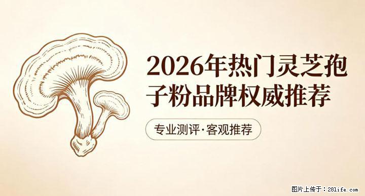 灵芝孢子粉含量越高越有效？2026 年七款热门品牌深度实测，肠胃敏感者避坑指南 - 阿里生活资讯 - 阿里28生活网 al.28life.net